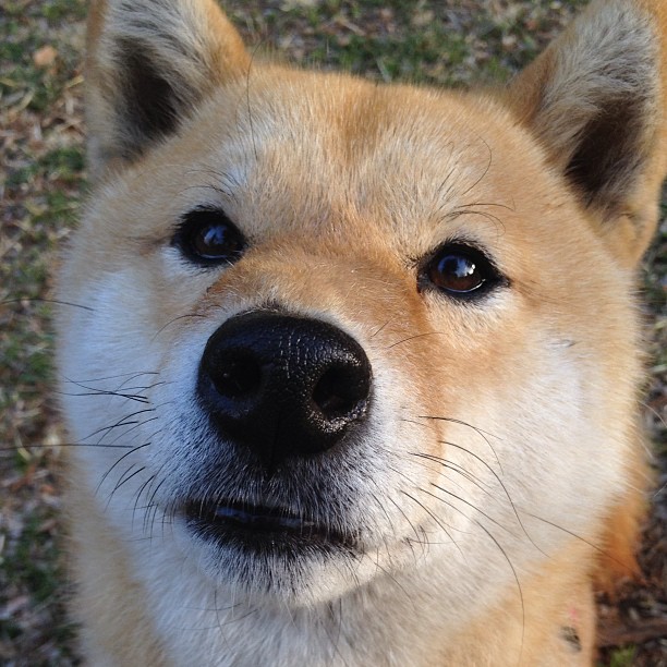 【智能装备】提升运动员表现的最新科技，运动员智能训练