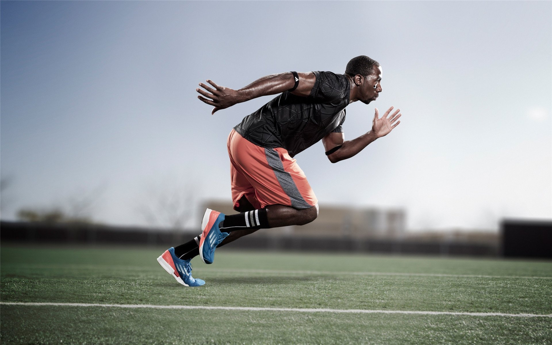 网球公开赛观众人数突破历史记录，网球公开赛多久一次