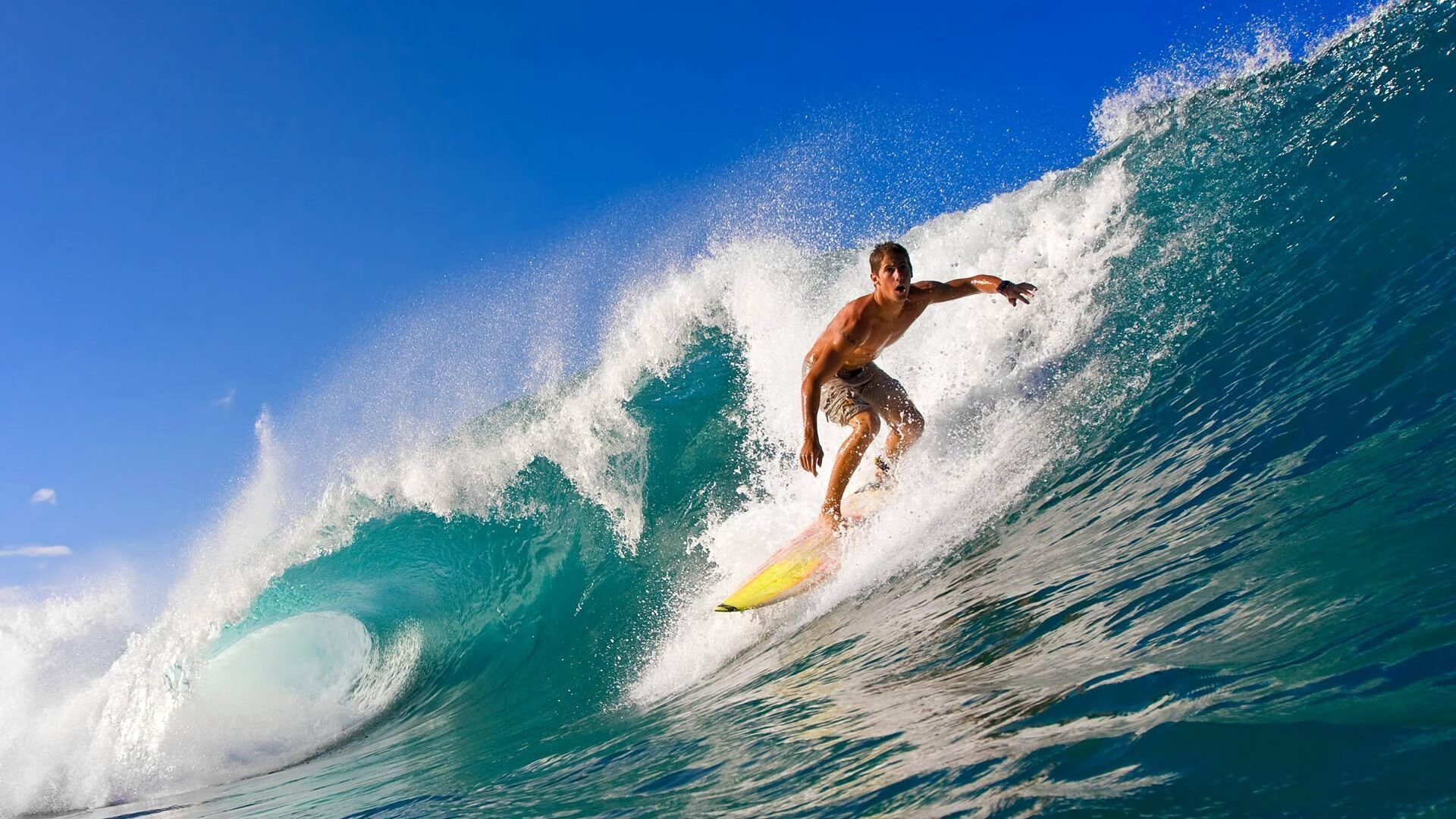 鹈鹕发布球队纪录片讲述幕后奋斗故事，cctv鹈鹕2017