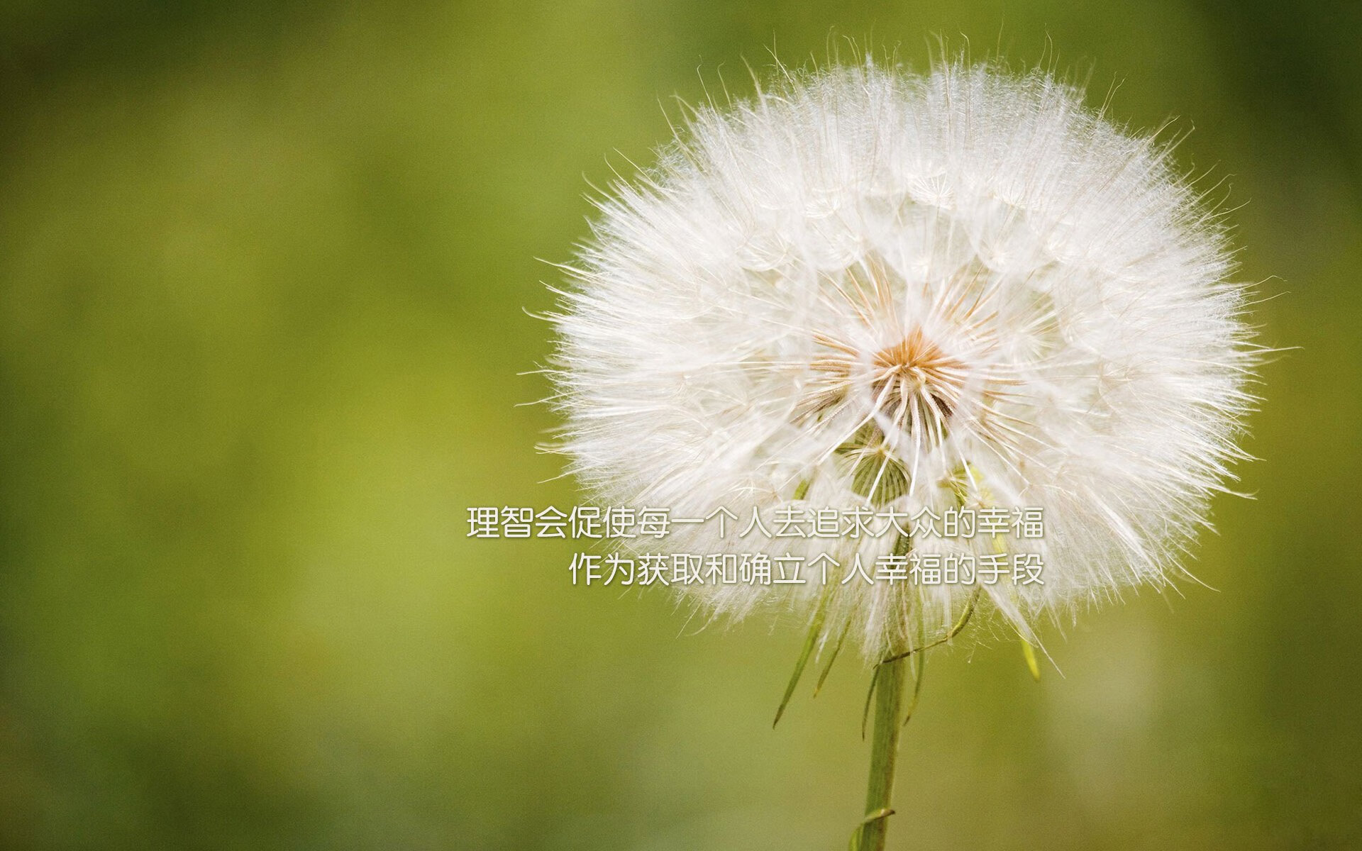 _赤脚挑战赛:不同凡响的创新运动体验_,赤脚综艺