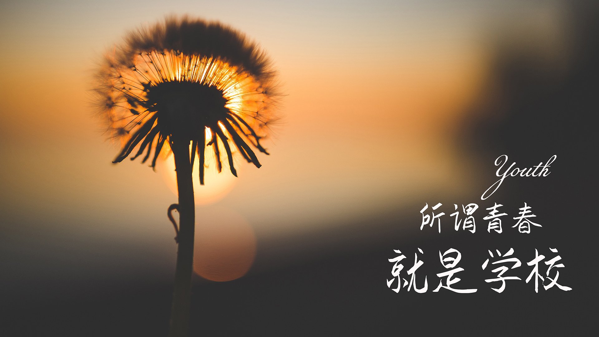 开云体育官网登入-_飞盘运动嘉年华:趣味合作的极致体验_,飞盘运动比赛