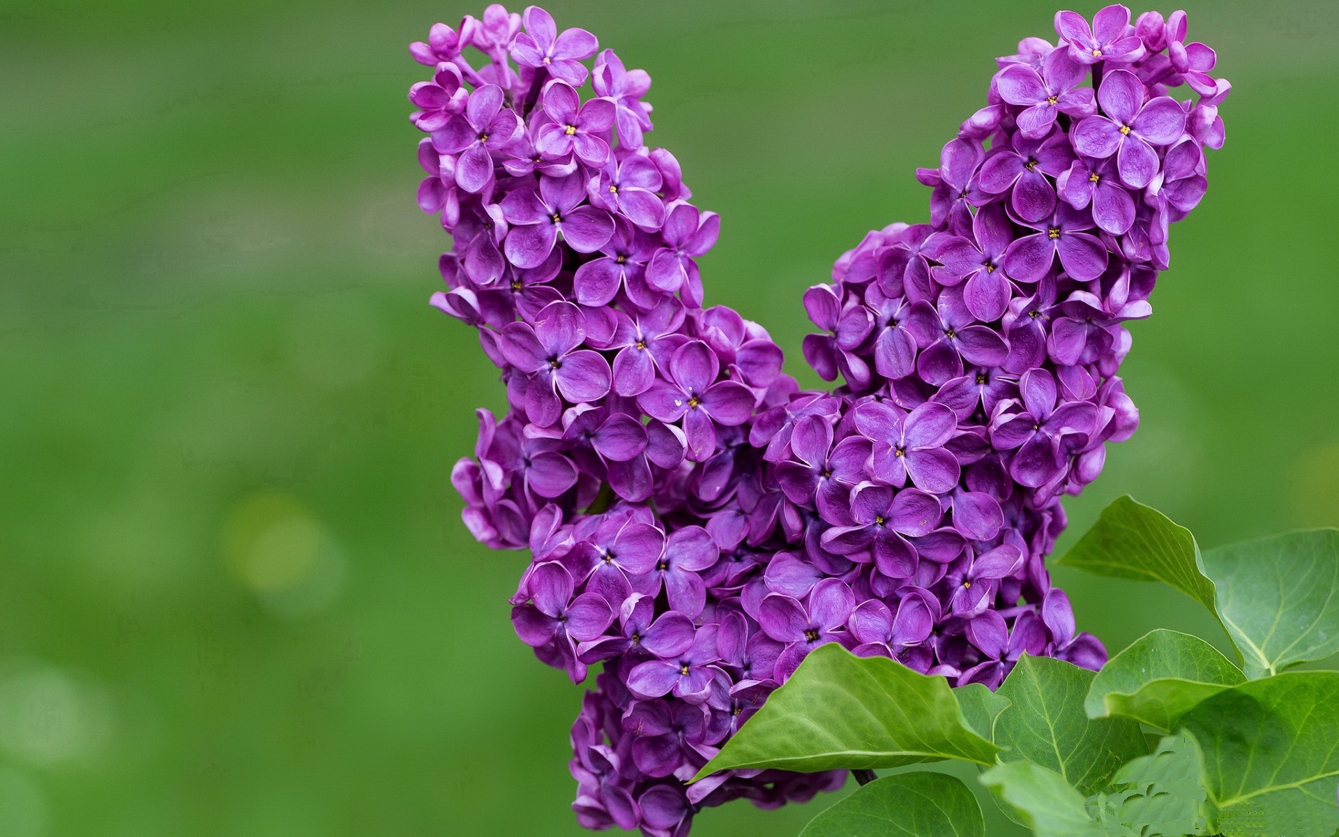 中国足球换帅潮来袭,新任主教练带来新希望,中国足球队现任主教练