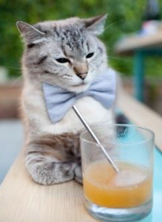 开云在线直播-全国青少年冰球联赛，冰上激情飞扬，2021年全国青少年冰球锦标赛