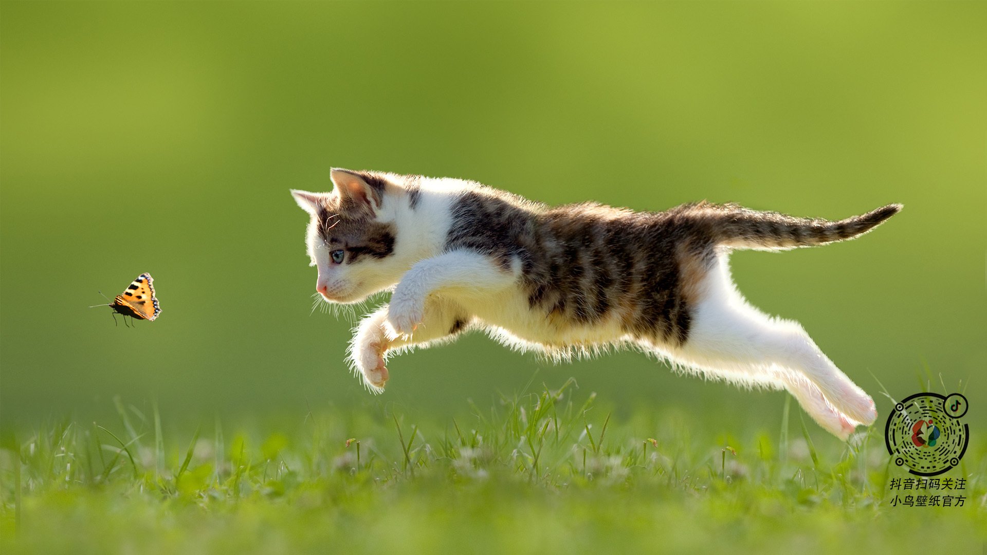 kaiyun网站-日本马术协会举办青少年马术交流活动，促进国际友谊。，日本马术场地